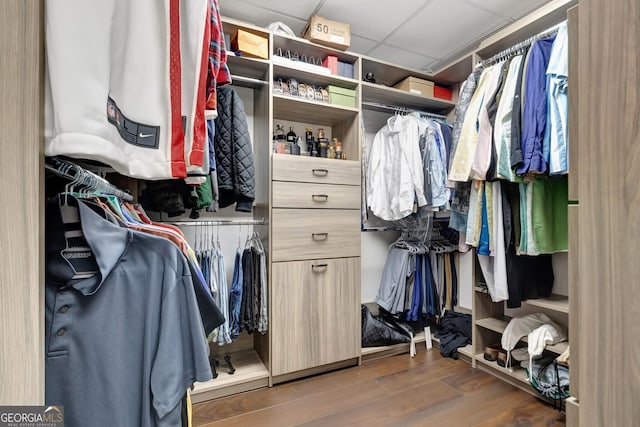 spacious closet with a paneled ceiling and dark wood-type flooring