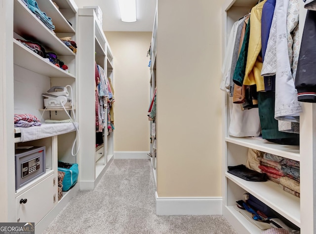 spacious closet with light carpet