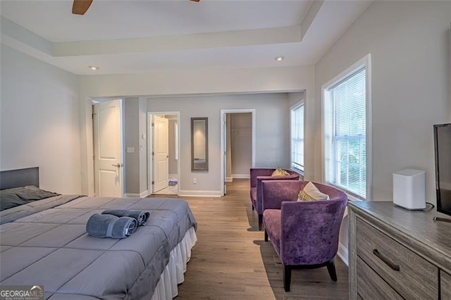 bedroom featuring a raised ceiling, ceiling fan, a spacious closet, light hardwood / wood-style floors, and a closet