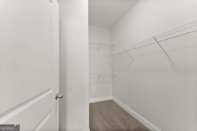 walk in closet with carpet floors