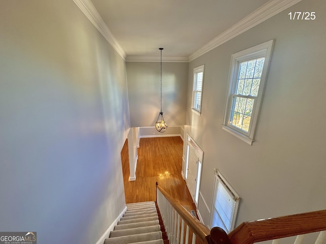 staircase featuring hardwood / wood-style flooring, a chandelier, and ornamental molding