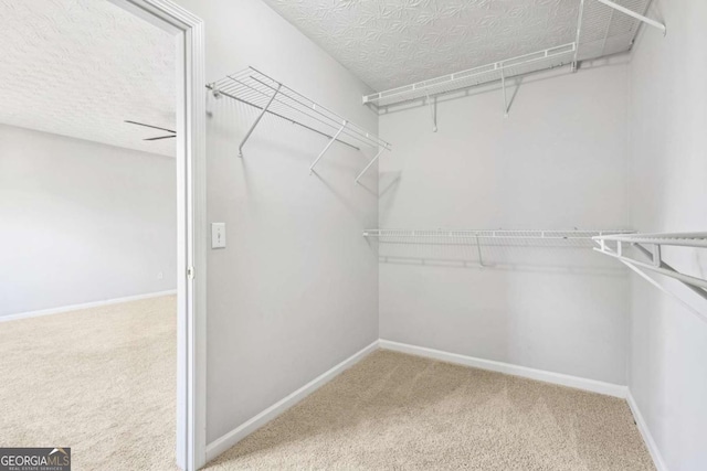 walk in closet featuring carpet floors