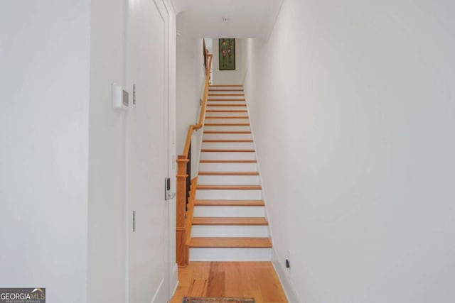 stairs featuring wood-type flooring