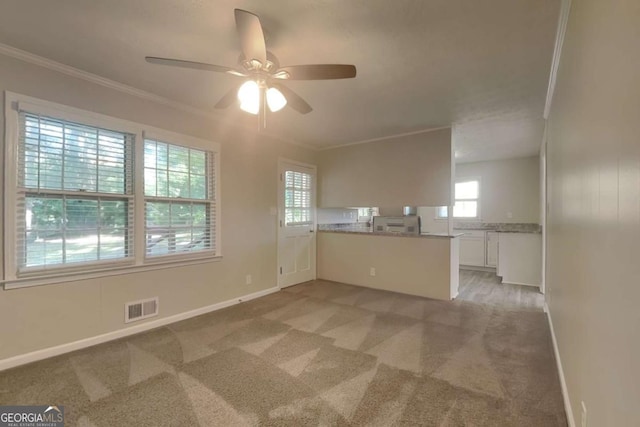 carpeted spare room featuring ceiling fan and ornamental molding