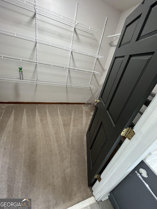 spacious closet featuring carpet floors