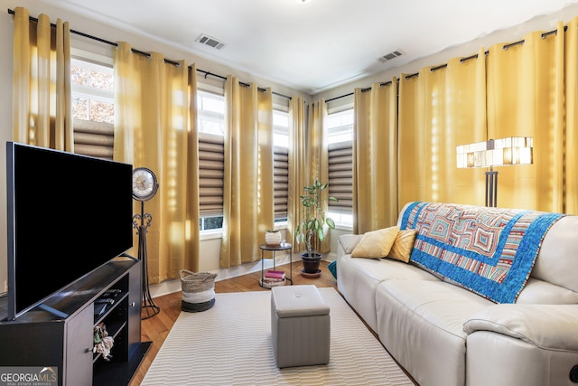 living room with hardwood / wood-style flooring