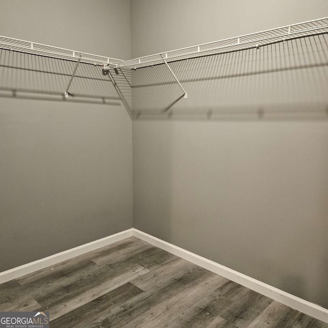 spacious closet featuring wood-type flooring