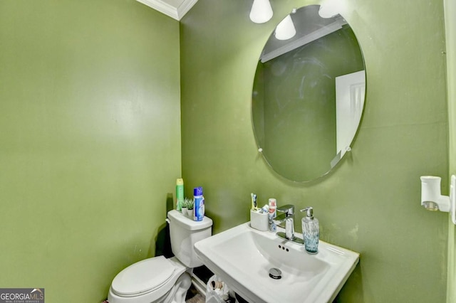 bathroom featuring toilet, crown molding, and sink