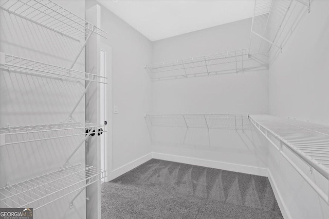 spacious closet with carpet