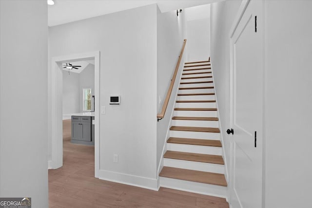 staircase featuring hardwood / wood-style flooring and ceiling fan