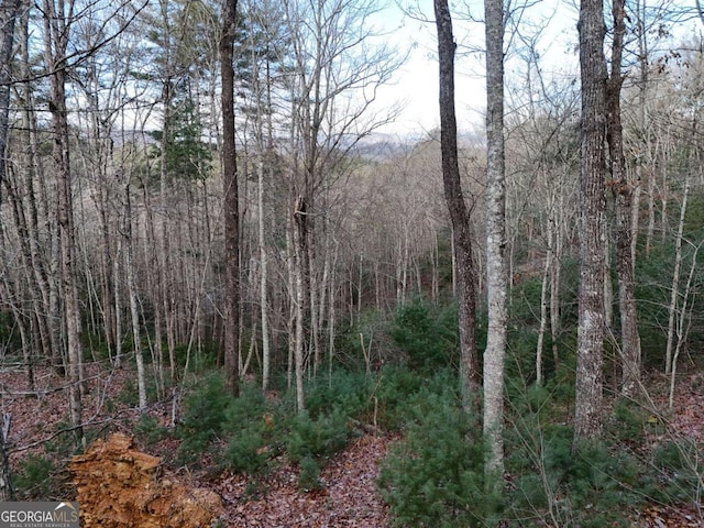 LOT46 Walker Ridge Way, Mineral Bluff GA, 30559 land for sale