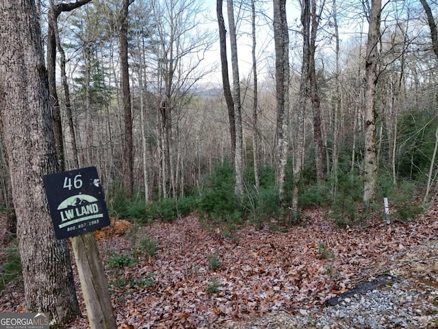 Listing photo 3 for LOT46 Walker Ridge Way, Mineral Bluff GA 30559