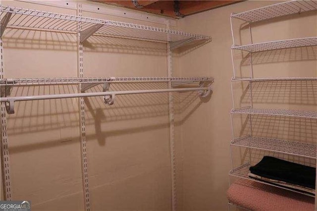 view of spacious closet