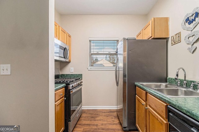 kitchen with sink, stainless steel appliances, and dark wood-type flooring