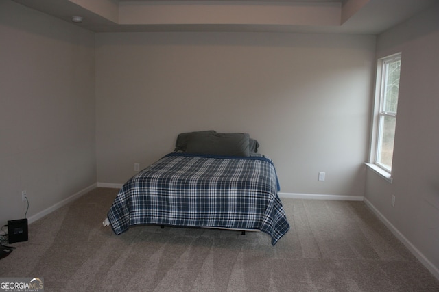 bedroom with carpet floors and multiple windows