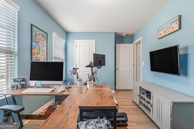 office space with plenty of natural light and light hardwood / wood-style flooring