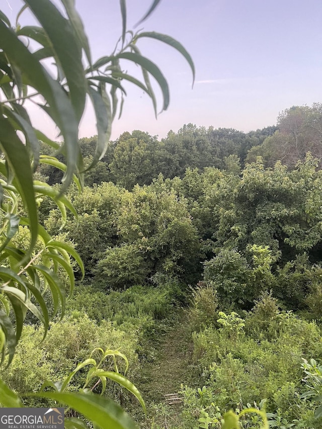 view of local wilderness