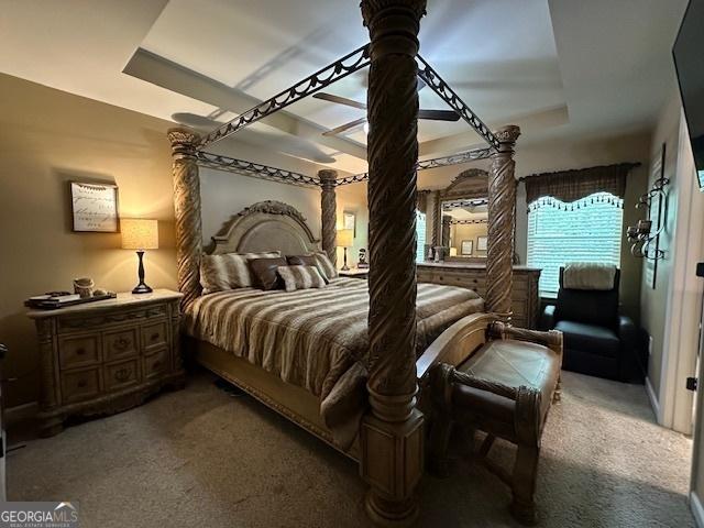 bedroom featuring a tray ceiling and carpet floors