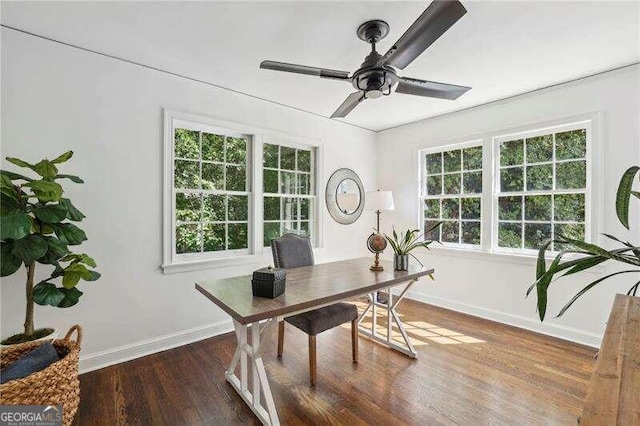 office area with ceiling fan and dark wood-type flooring