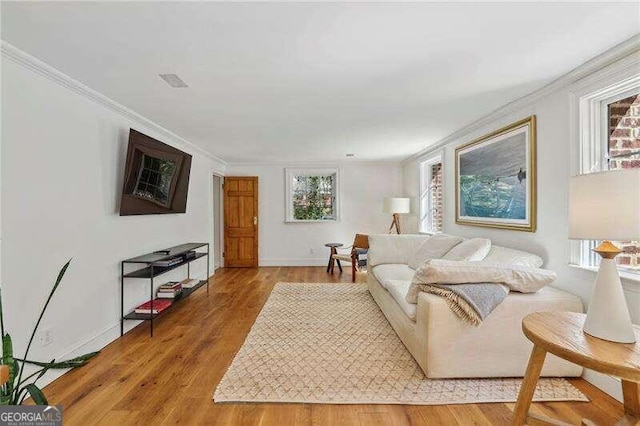 living room featuring crown molding and hardwood / wood-style flooring