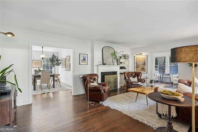 living room featuring dark hardwood / wood-style floors