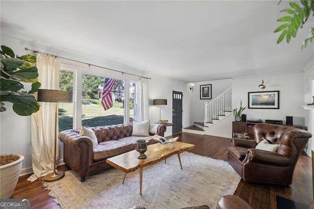 living room featuring wood-type flooring and crown molding