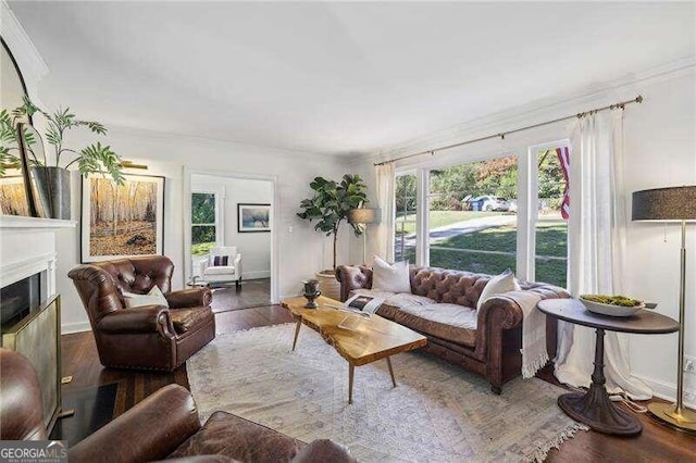 living room with hardwood / wood-style flooring and crown molding