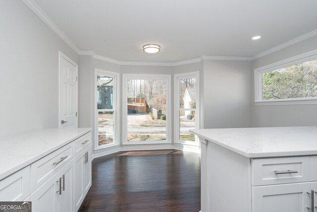 interior space with ornamental molding and dark wood-type flooring