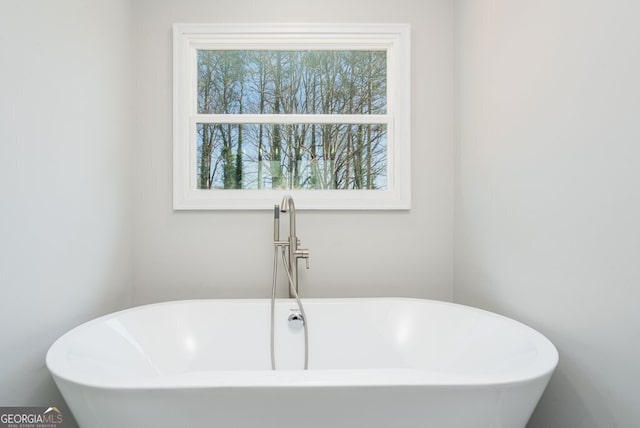 bathroom featuring a bathtub and a healthy amount of sunlight