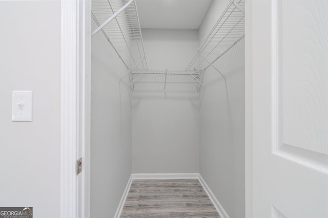 walk in closet featuring hardwood / wood-style floors