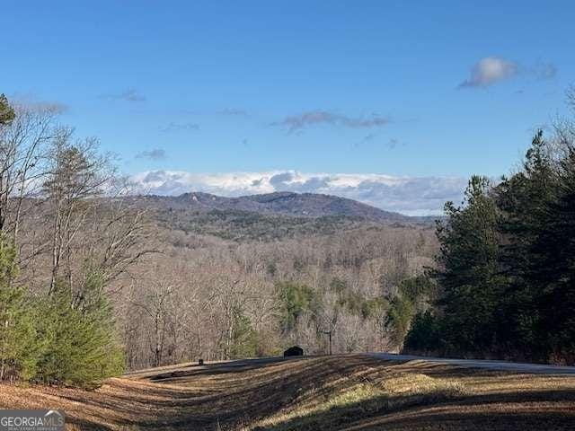 view of mountain feature