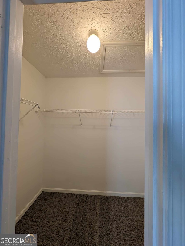 spacious closet with carpet flooring