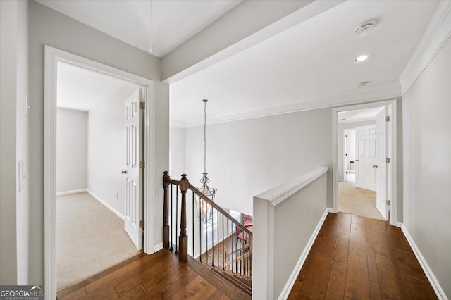 hallway with hardwood / wood-style floors and ornamental molding