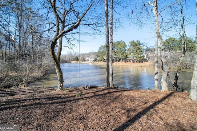 view of water feature