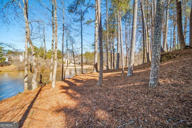 view of yard with a water view