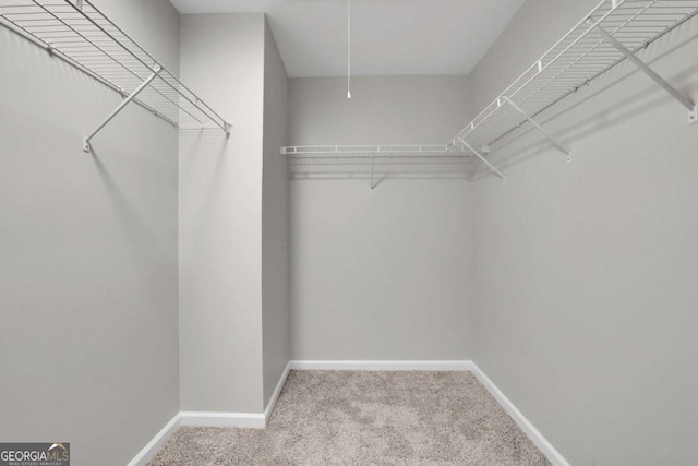 walk in closet with carpet flooring