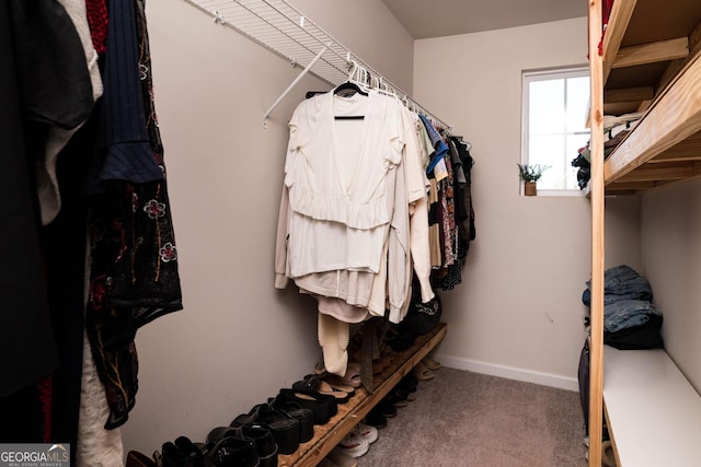 spacious closet featuring carpet floors