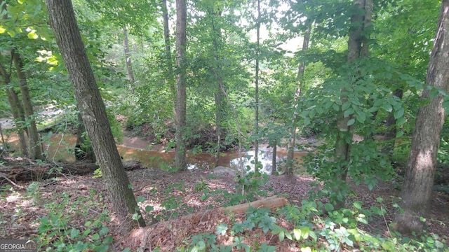 view of local wilderness