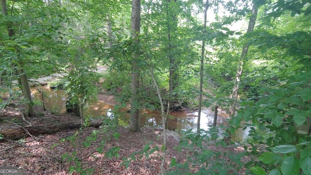 view of landscape featuring a water view