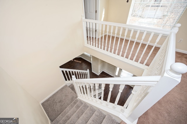 stairs featuring carpet flooring