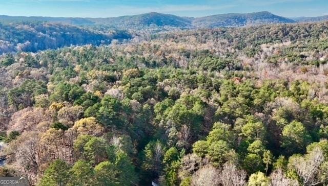 drone / aerial view with a mountain view