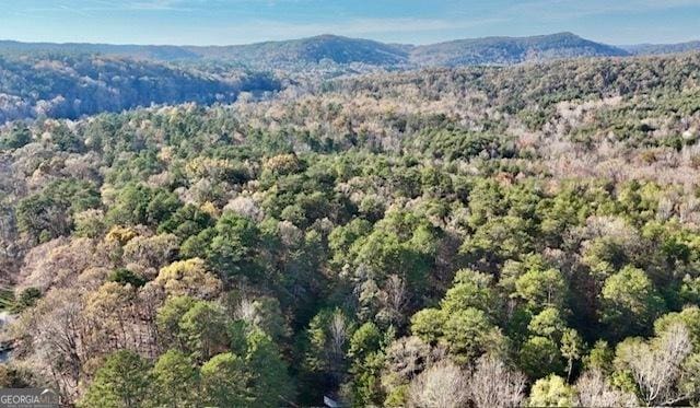 bird's eye view with a mountain view