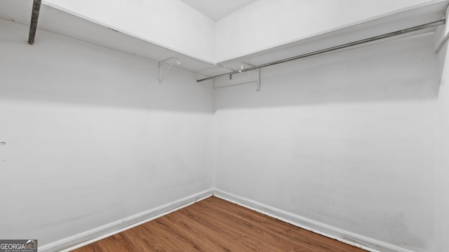 spacious closet featuring hardwood / wood-style floors