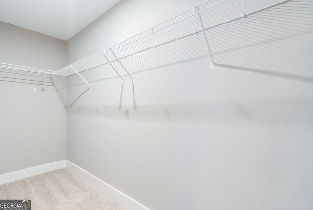 walk in closet featuring carpet