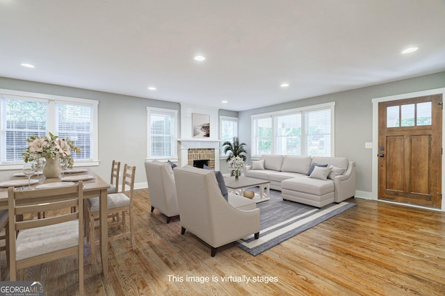 living room featuring a fireplace and wood-type flooring