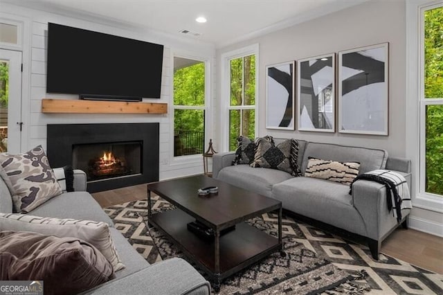 living room featuring a large fireplace and hardwood / wood-style flooring