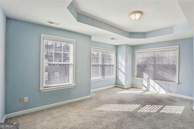 spare room featuring a tray ceiling and light colored carpet