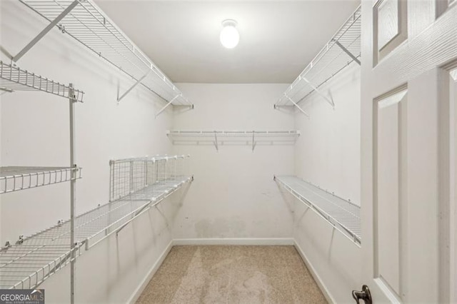 spacious closet with light carpet