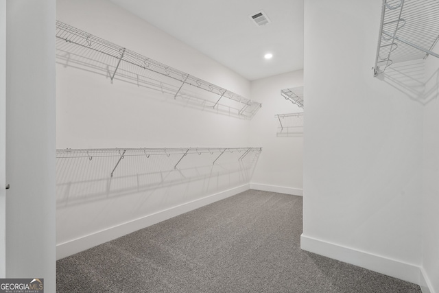 spacious closet with carpet