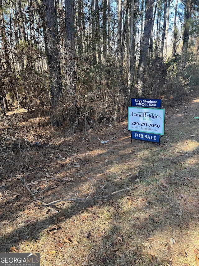 0 Drayton Loop, Vienna GA, 31092 land for sale